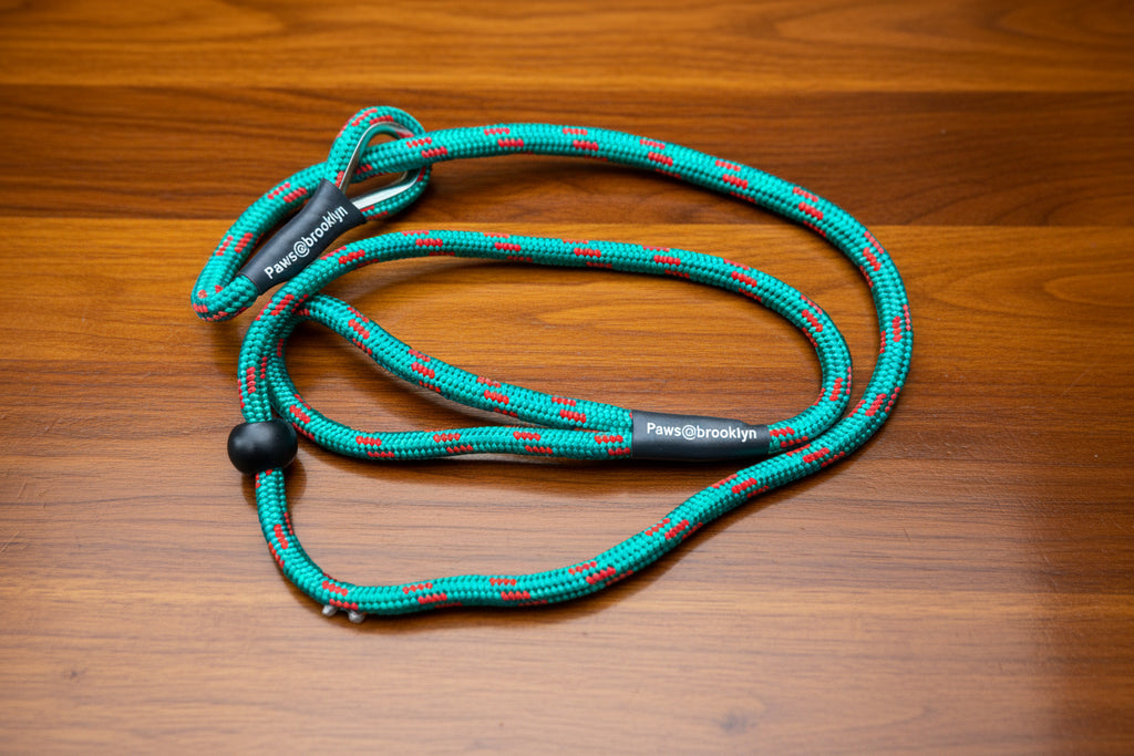 Paws@Brooklyn 8mm Slip Leads