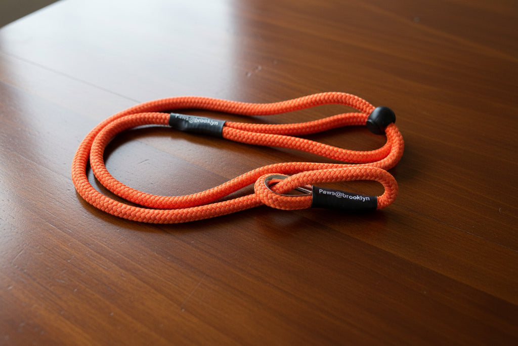 Paws@Brooklyn 8mm Slip Leads