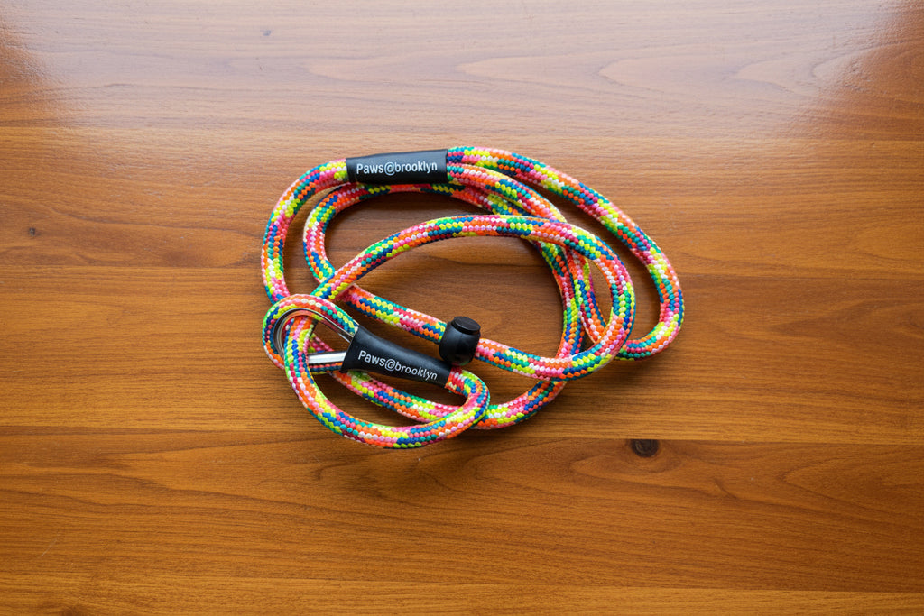Paws@Brooklyn 8mm Slip Leads
