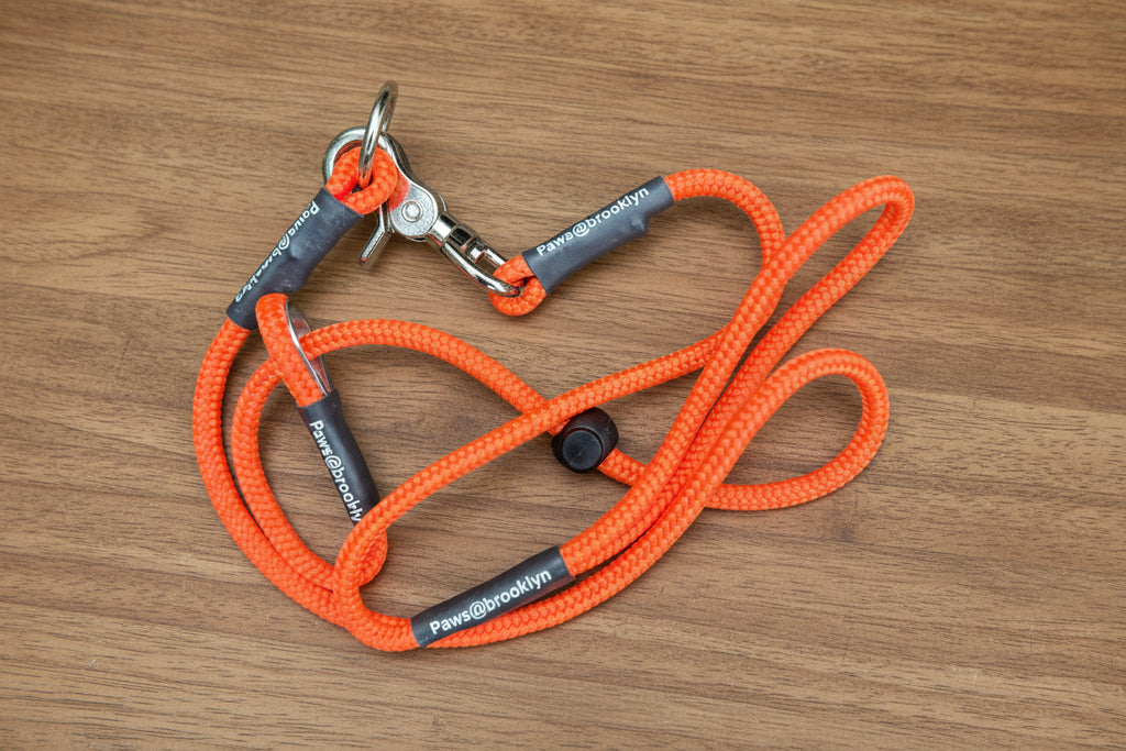 Paws@Brooklyn Heeling Lead with Slip Collar