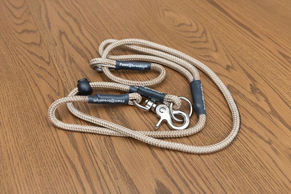 Paws@Brooklyn Heeling Lead with Slip Collar
