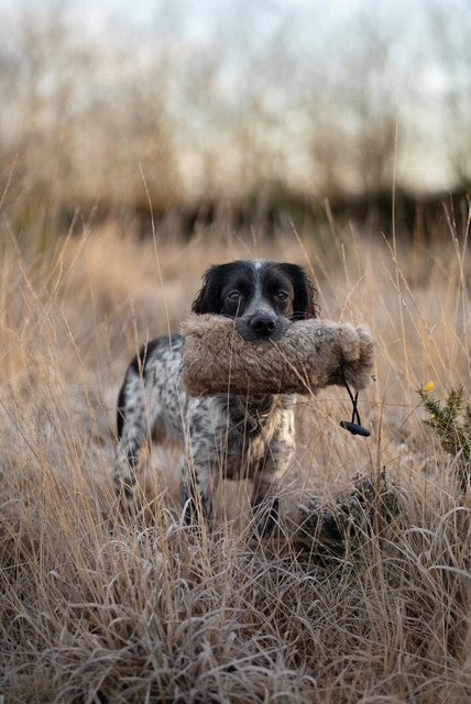 Paws@brooklyn Rabbit Dummies