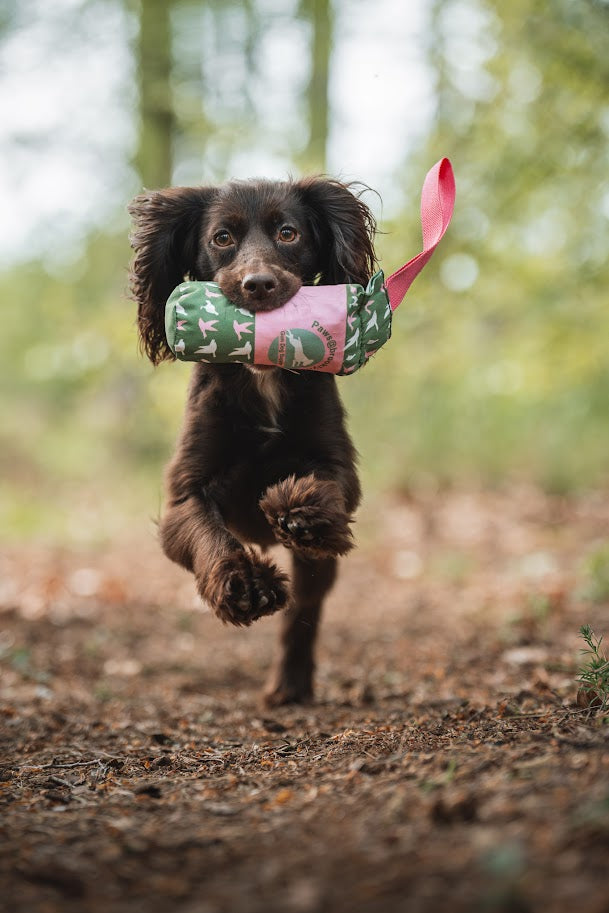 Paws@Brooklyn Pink Field Edition Gundog Dummies