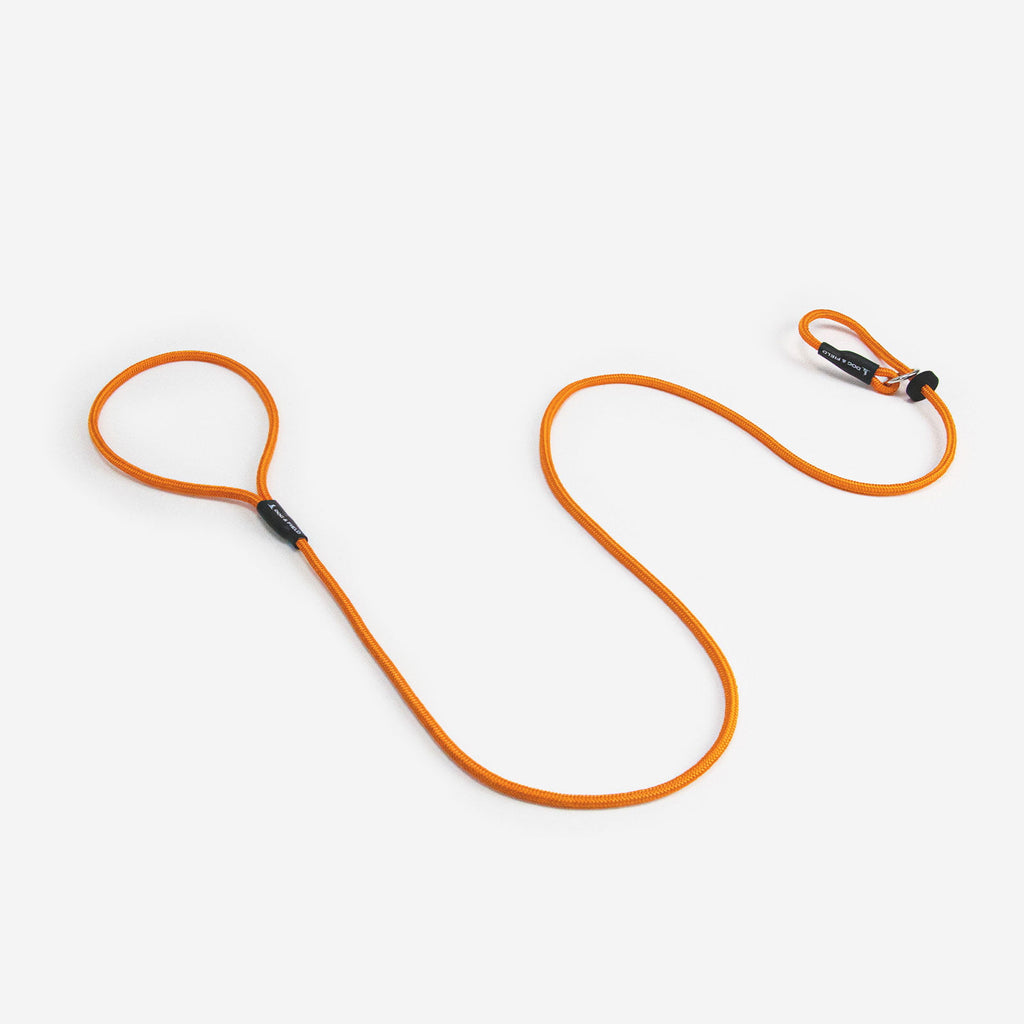 Dog & Field Signature  Lanyards