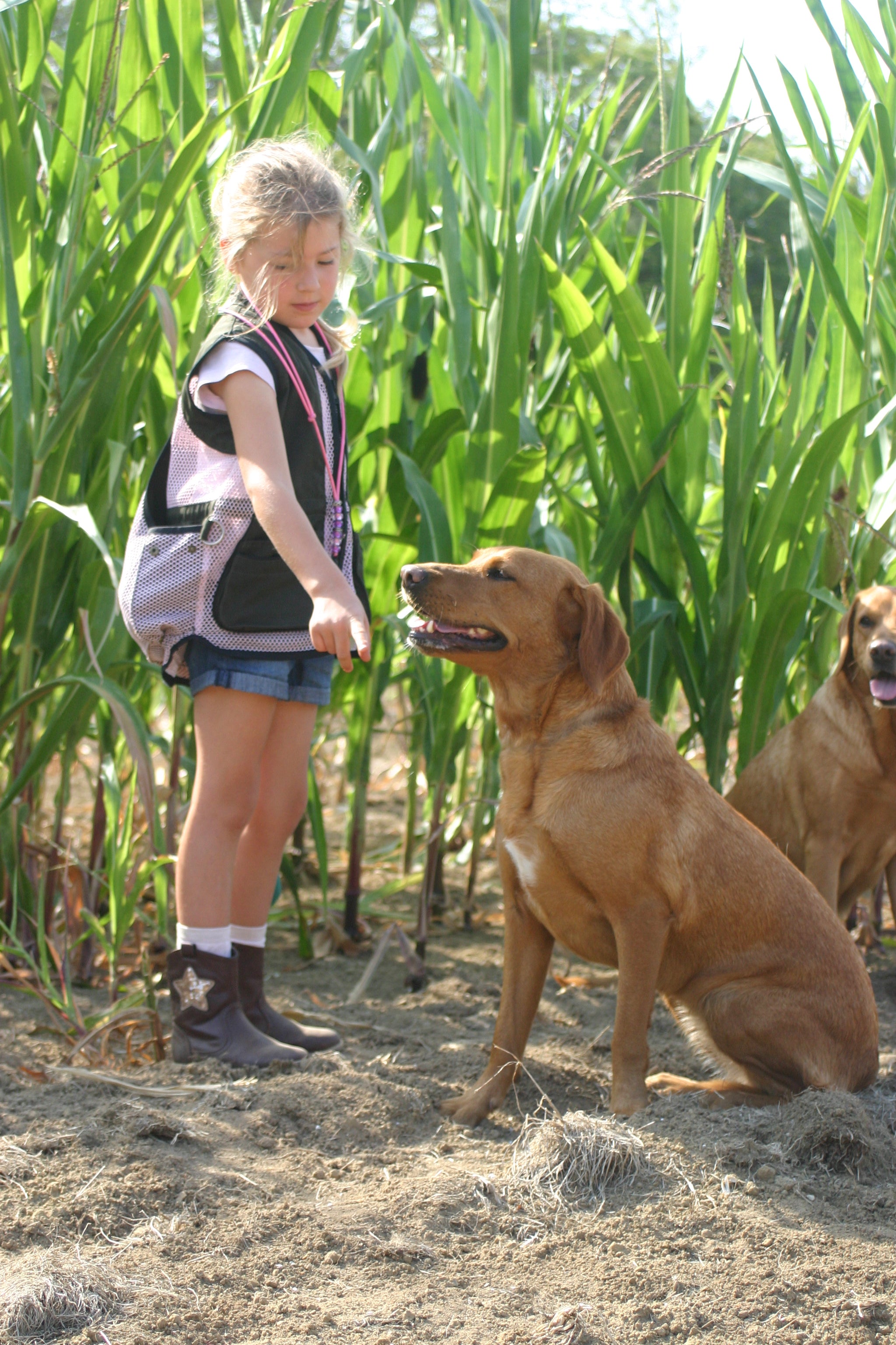 Paws@Brooklyn Young Handlers Lightweight Vest