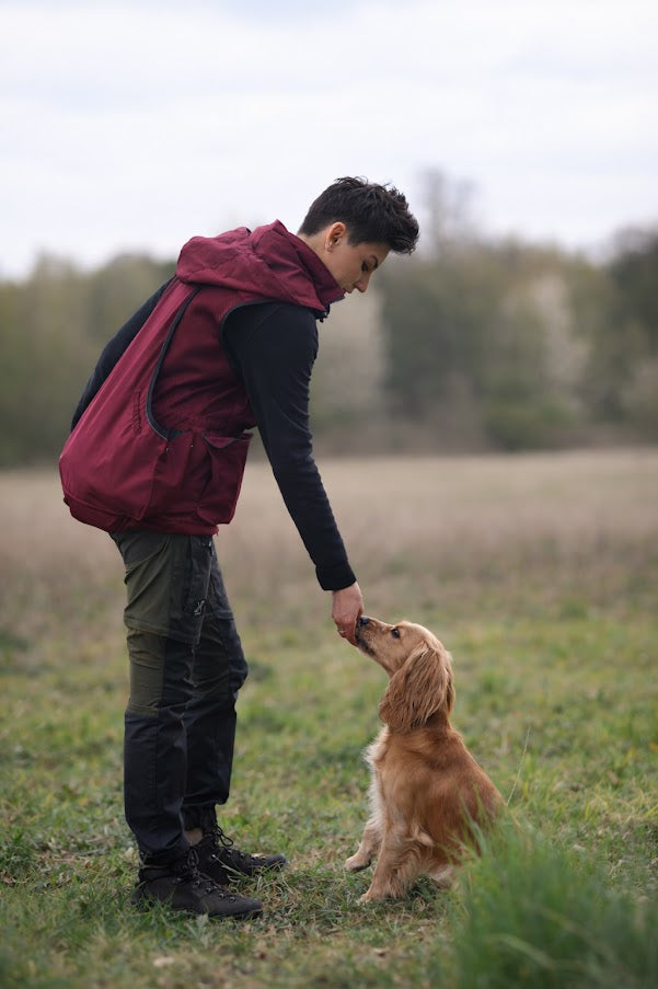 Paws@Brooklyn Training Vest with Detachable Hood