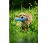 Firedog Lite Dummies with Short Throw