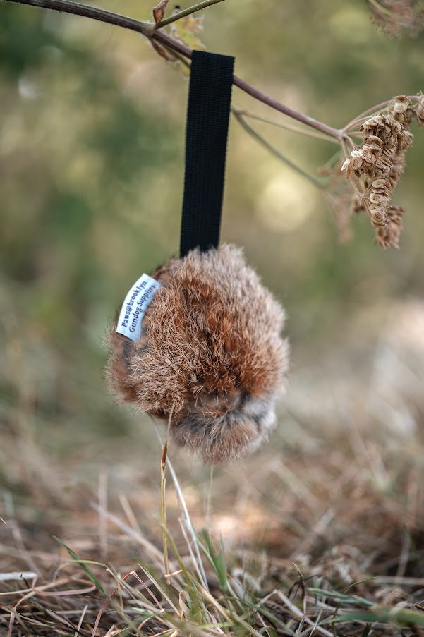 Paws@Brooklyn Rabbit Hunting Discs with Throwing Strap