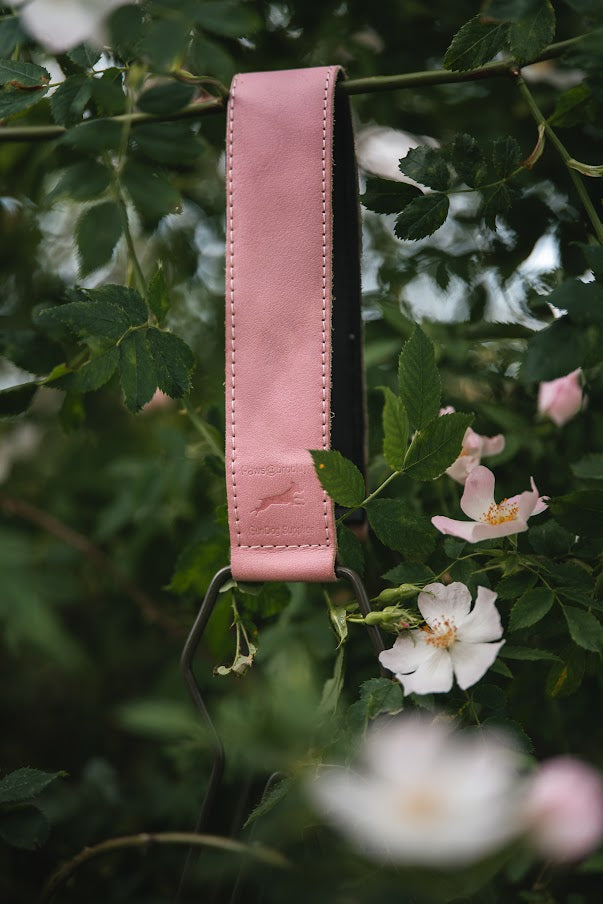 The Pink Field Limited Edition
