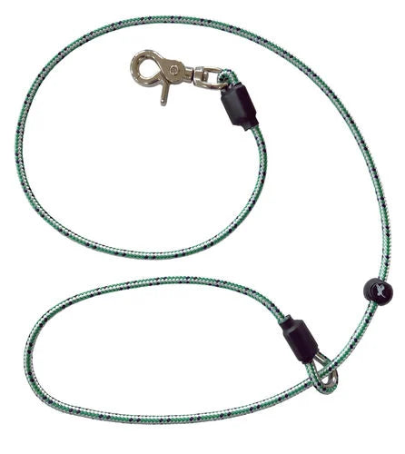 Sporting Saint Leads and Puppy Long Lines