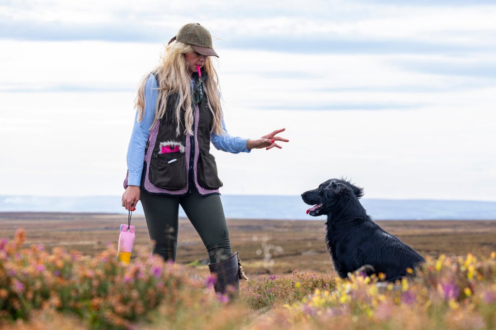 Lightweight Field Training Vest | Paws@Brooklyn
