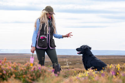 Lightweight Field Training Vest | Paws@Brooklyn
