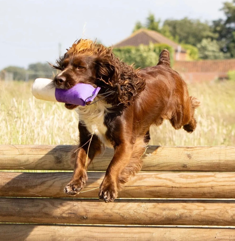 Firedog 500g Canvas Dummies
