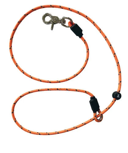 Sporting Saint Leads and Puppy Long Lines