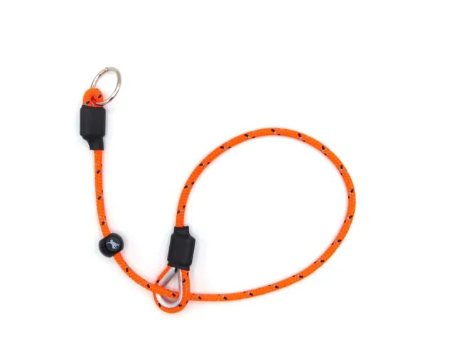 Sporting Saint Leads and Puppy Long Lines