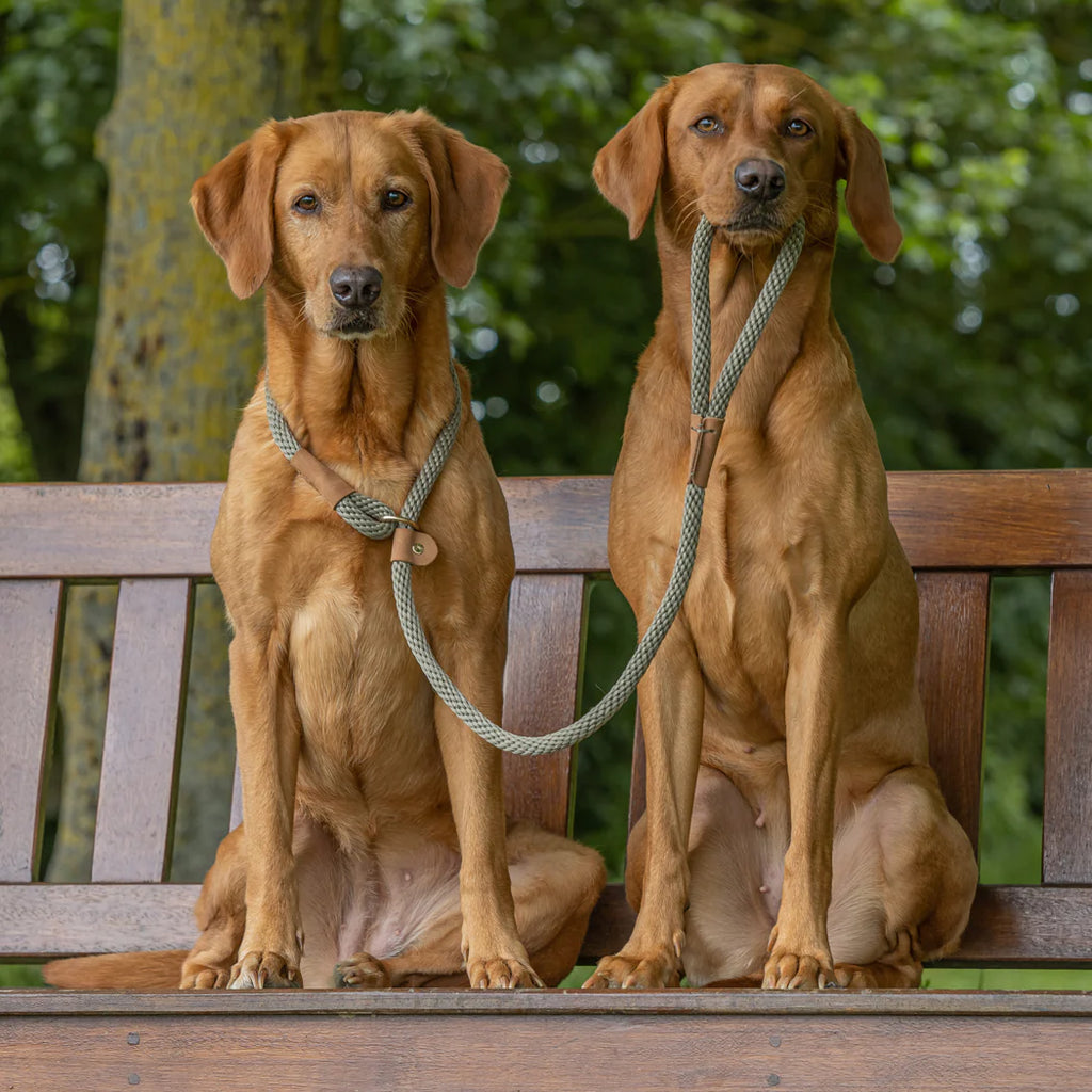Ruff and Tumble Slip and Clip Leads