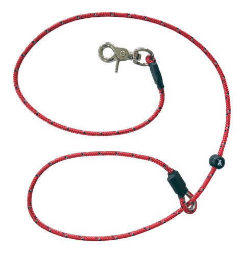 Sporting Saint Leads and Puppy Long Lines