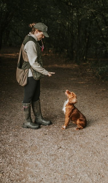 Dog and Field  V2 Heritage Vest