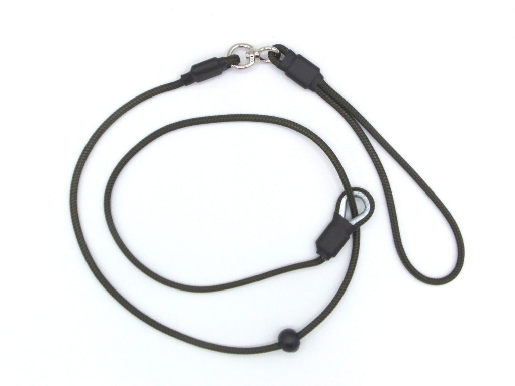 Sporting Saint Leads and Puppy Long Lines