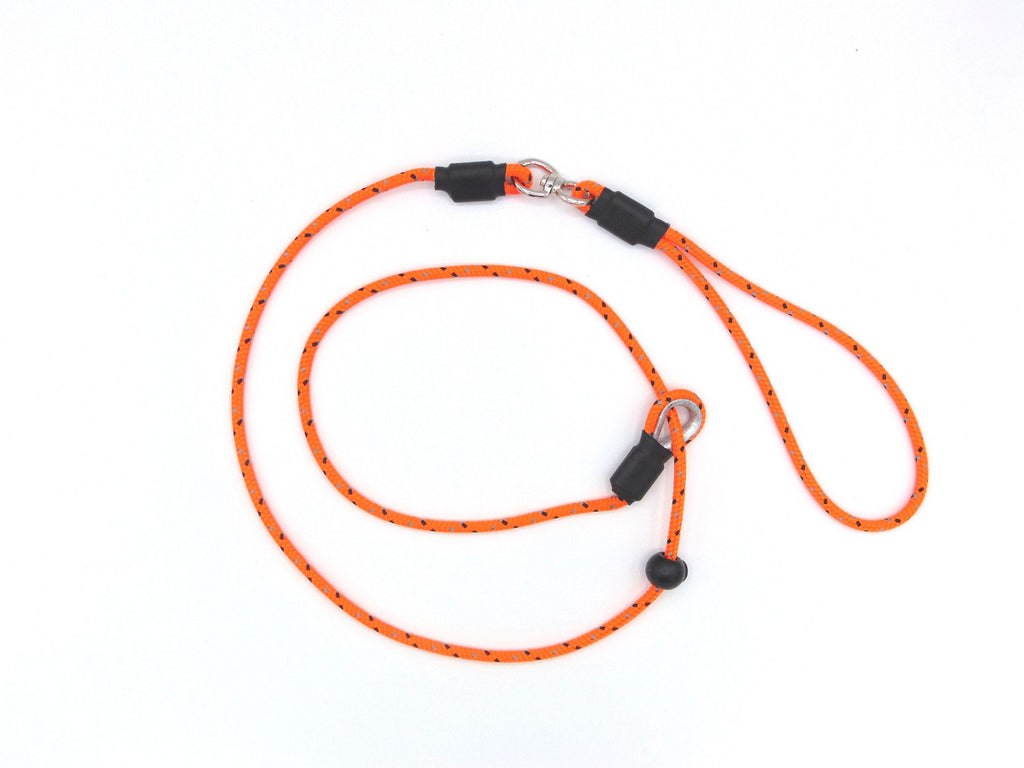 Sporting Saint Leads and Puppy Long Lines