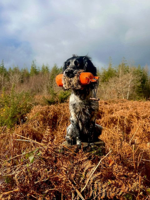 Firedog 250g & 500g Dummy with Rabbit Fur