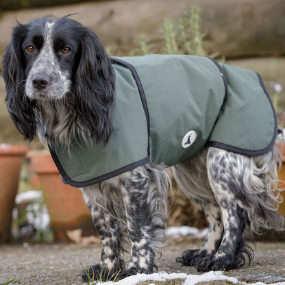 Dog & Field Waterproof Coats