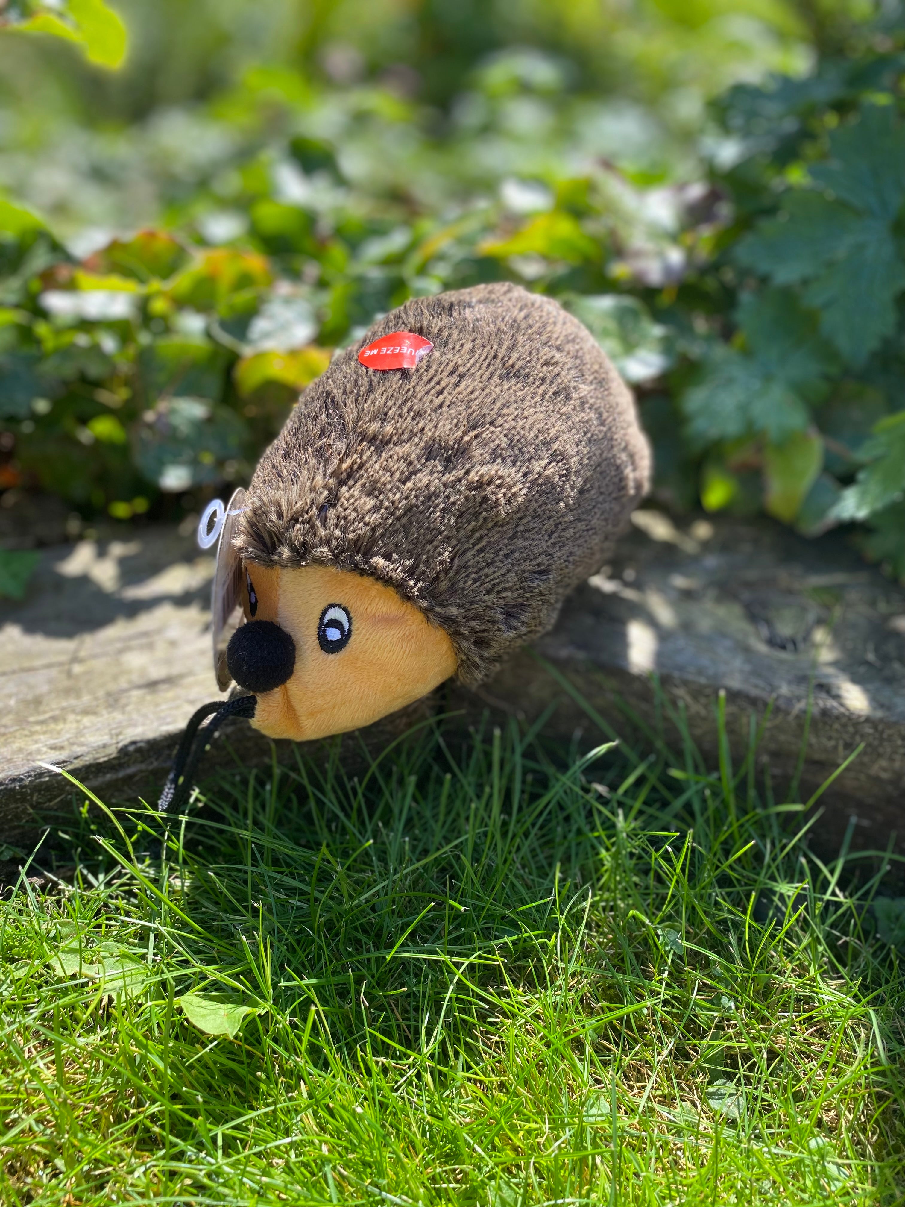 Dog Toys