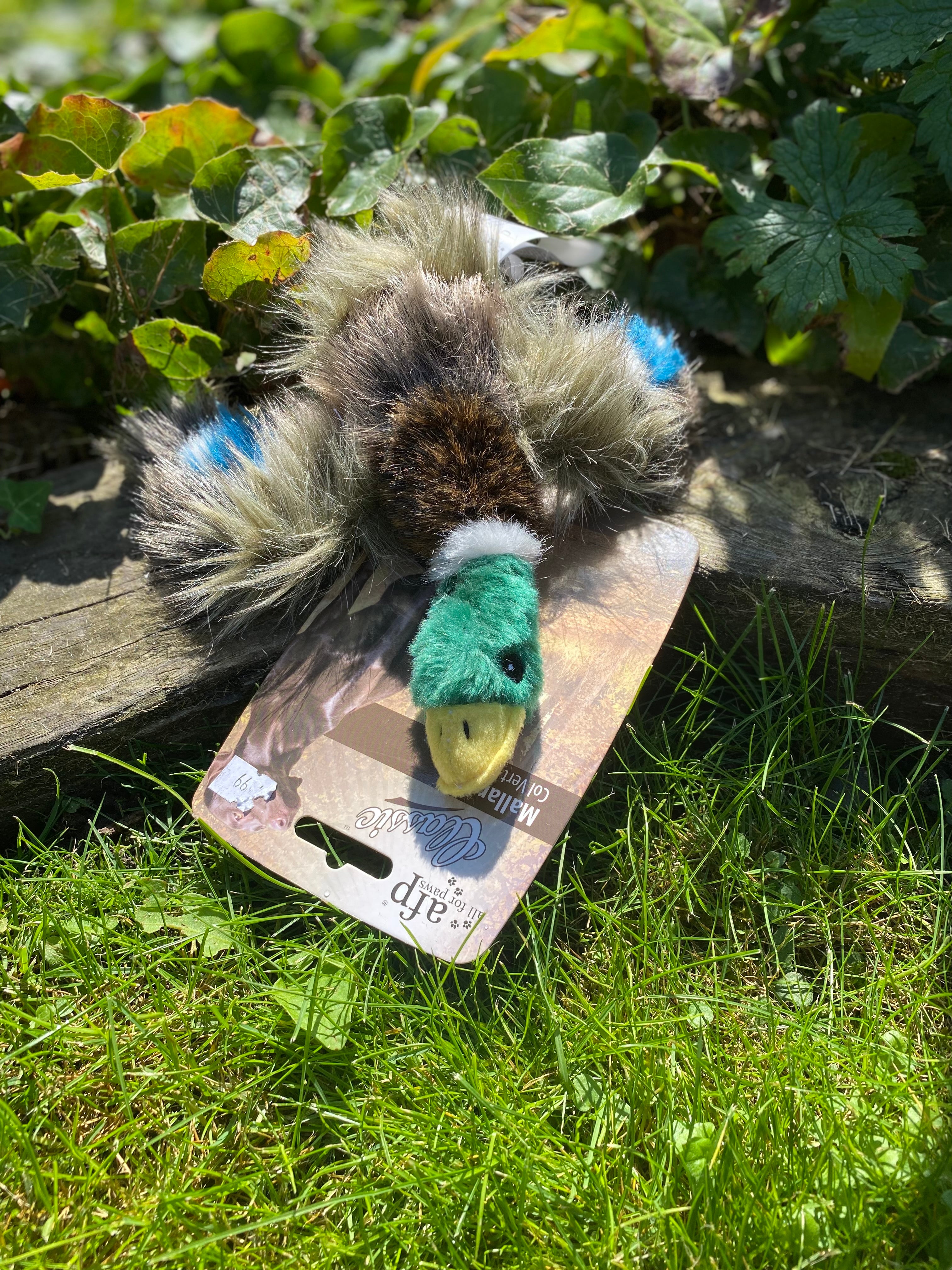 Dog Toys