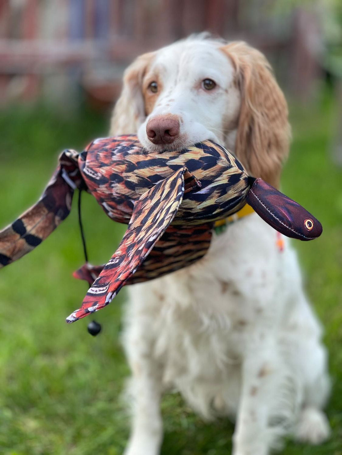 Dog and Field Feather Print Dummies