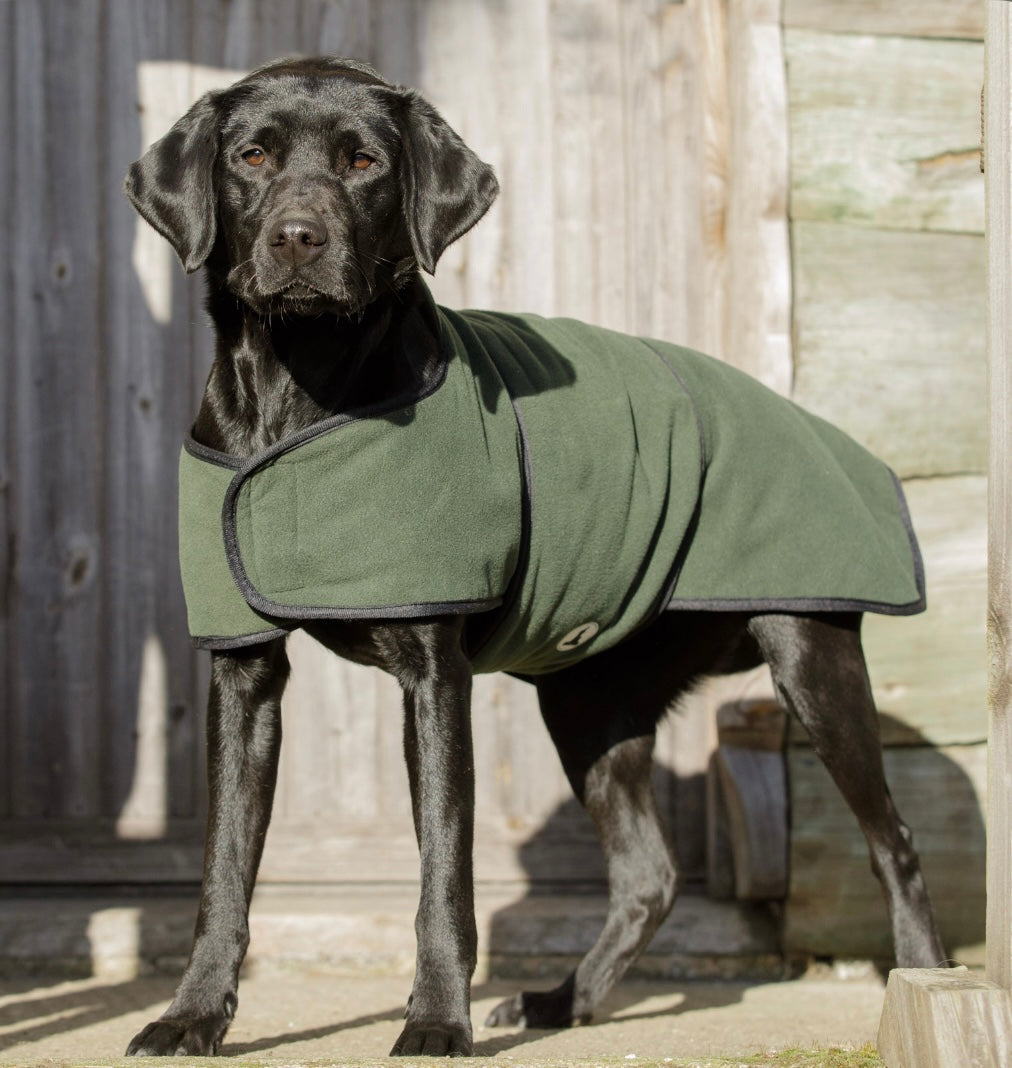 Dog & Field Waterproof Coats