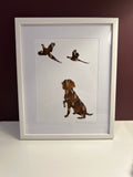 Framed and Feather