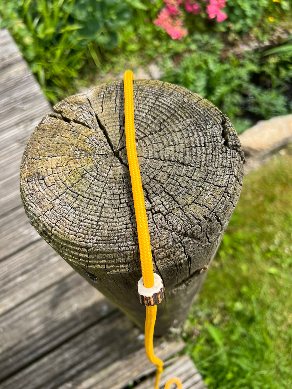 Firedog Field Trial Slip Leads