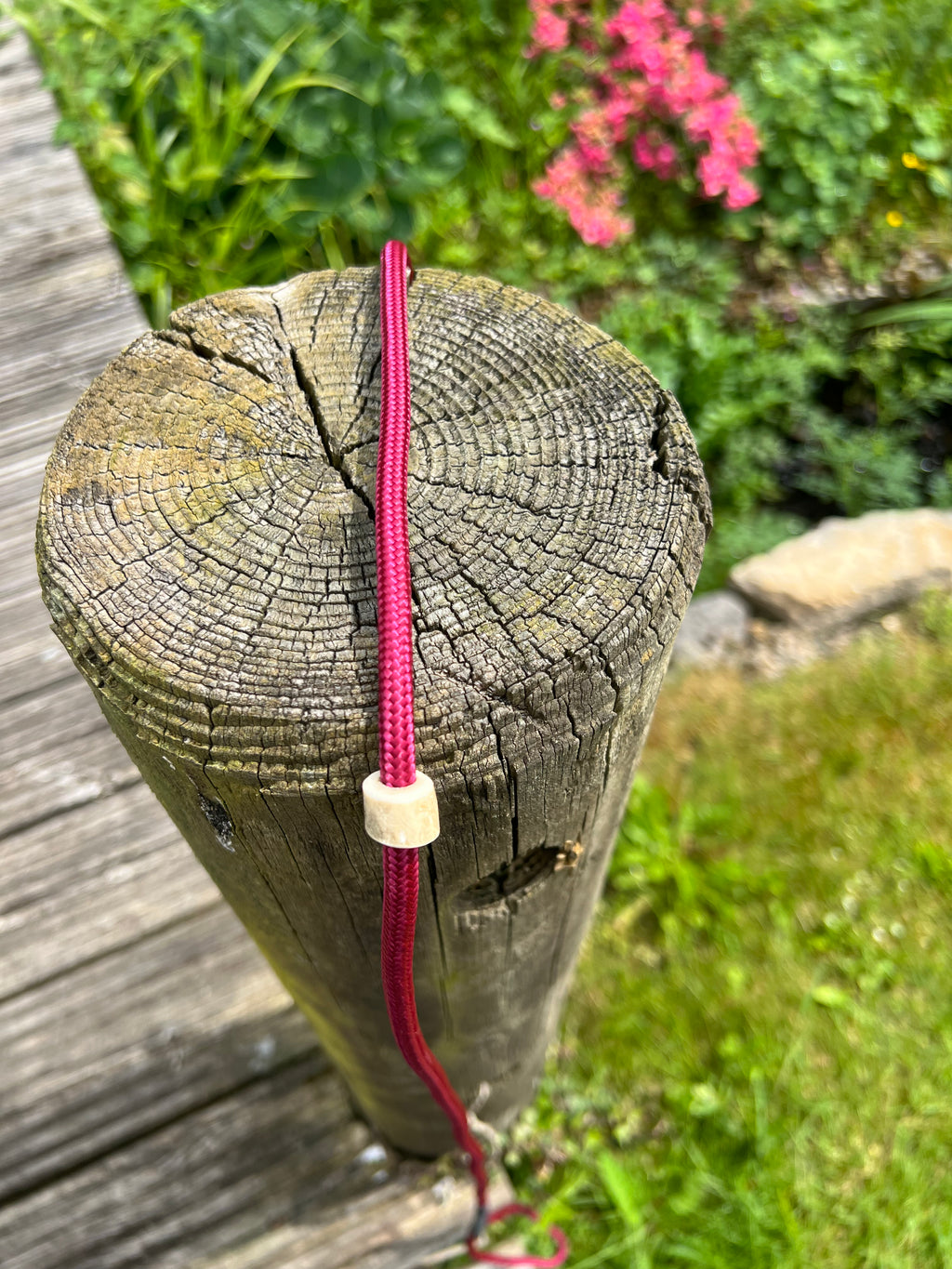 Firedog Field Trial Slip Leads
