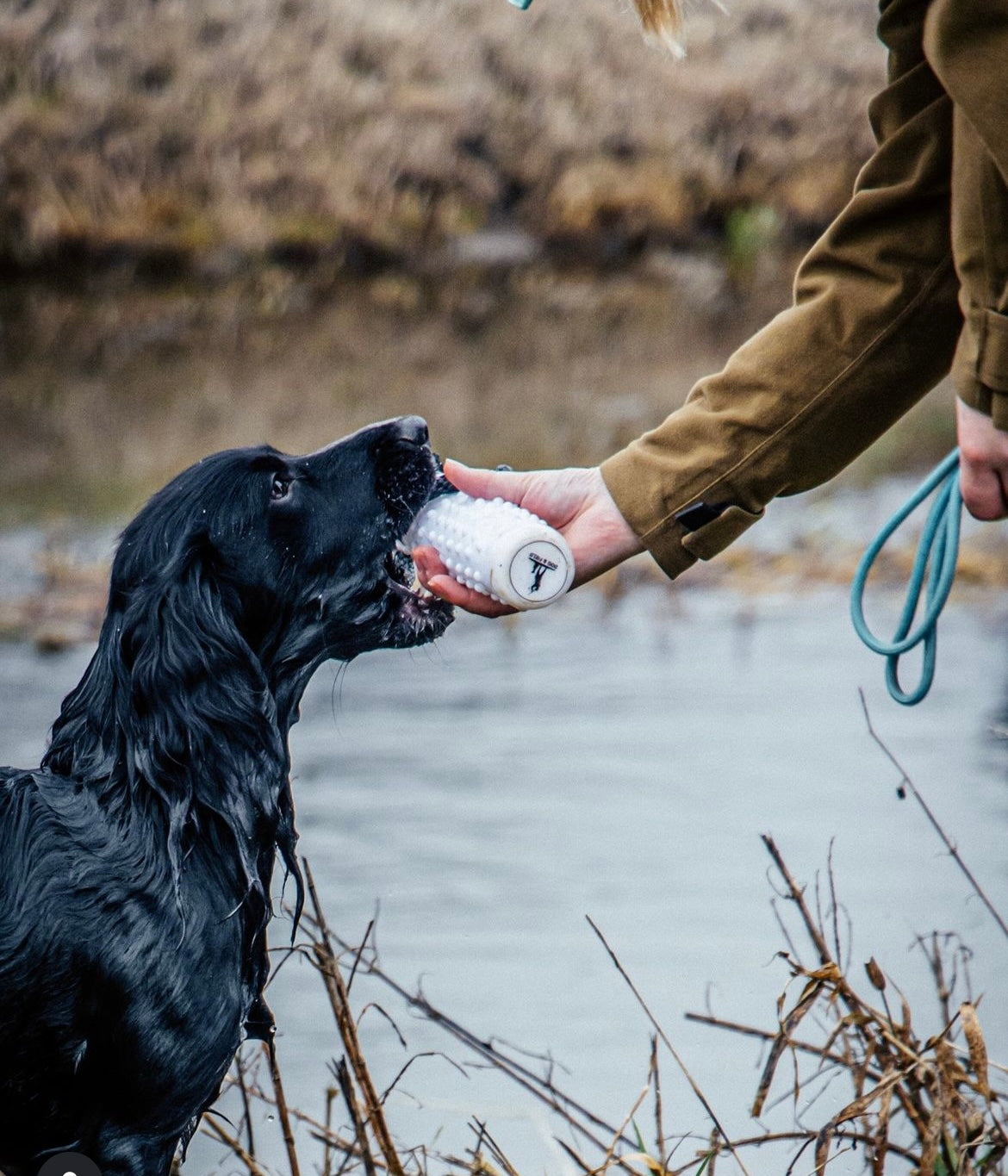 Dog and Field Water Dummy