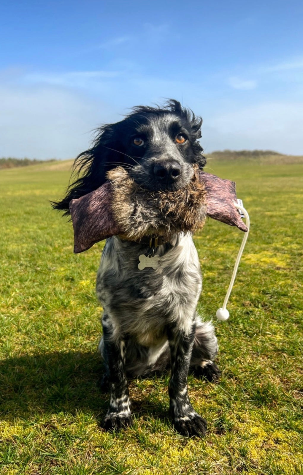 Dog and Field Original Clone Rabbit Dummy