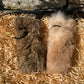 Full fur Rabbit Dummies with toggle for small dogs, puppies and Junior Dogs