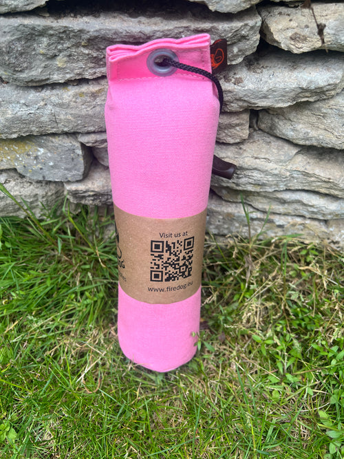 Firedog 500g Canvas Dummies