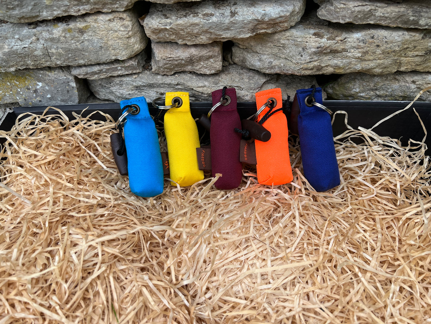 Firedog Keyring Dummies