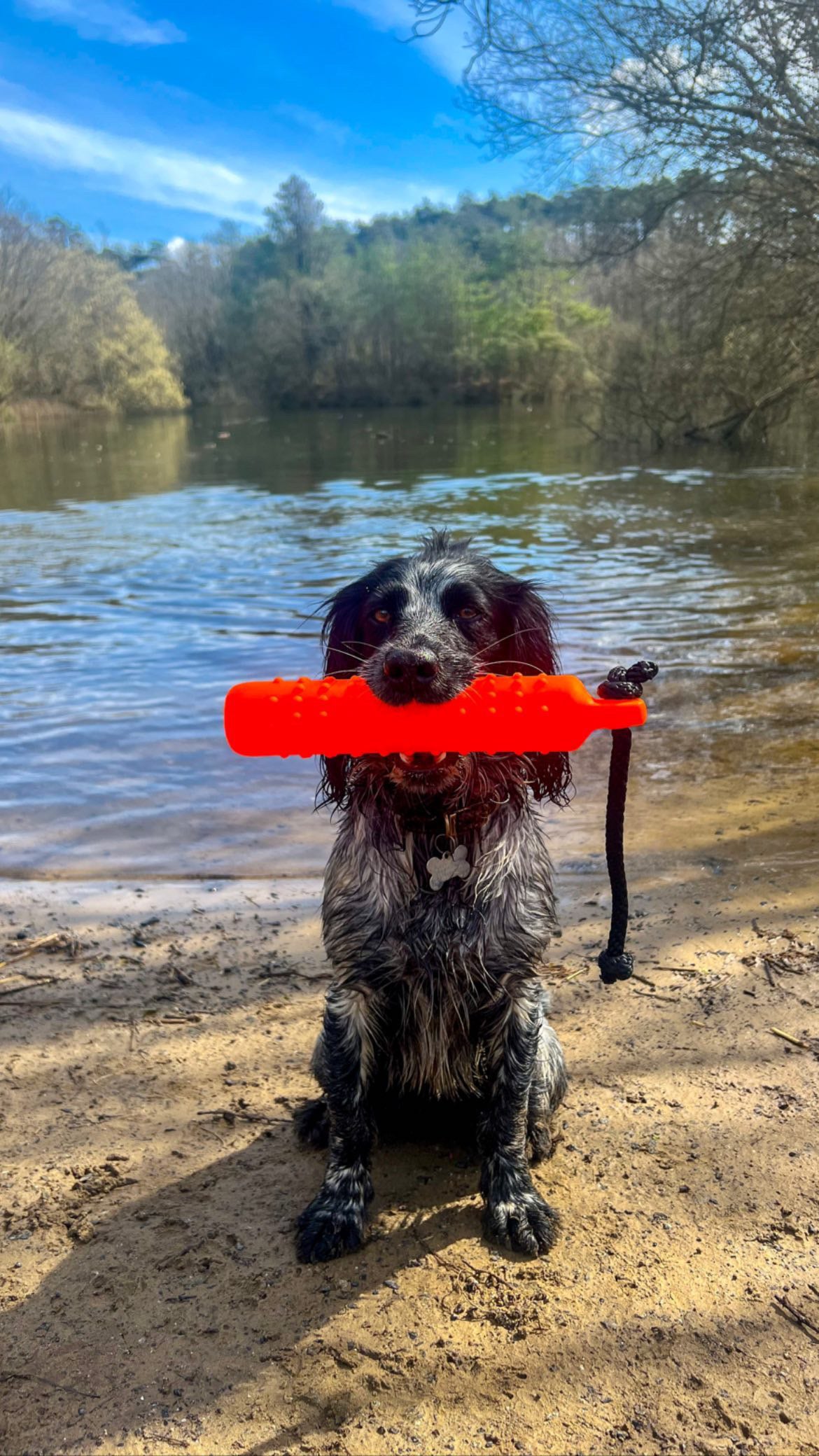 Dog and Field Water Dummy