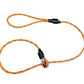 Sporting Saint Field Trial Pro Slip Lead